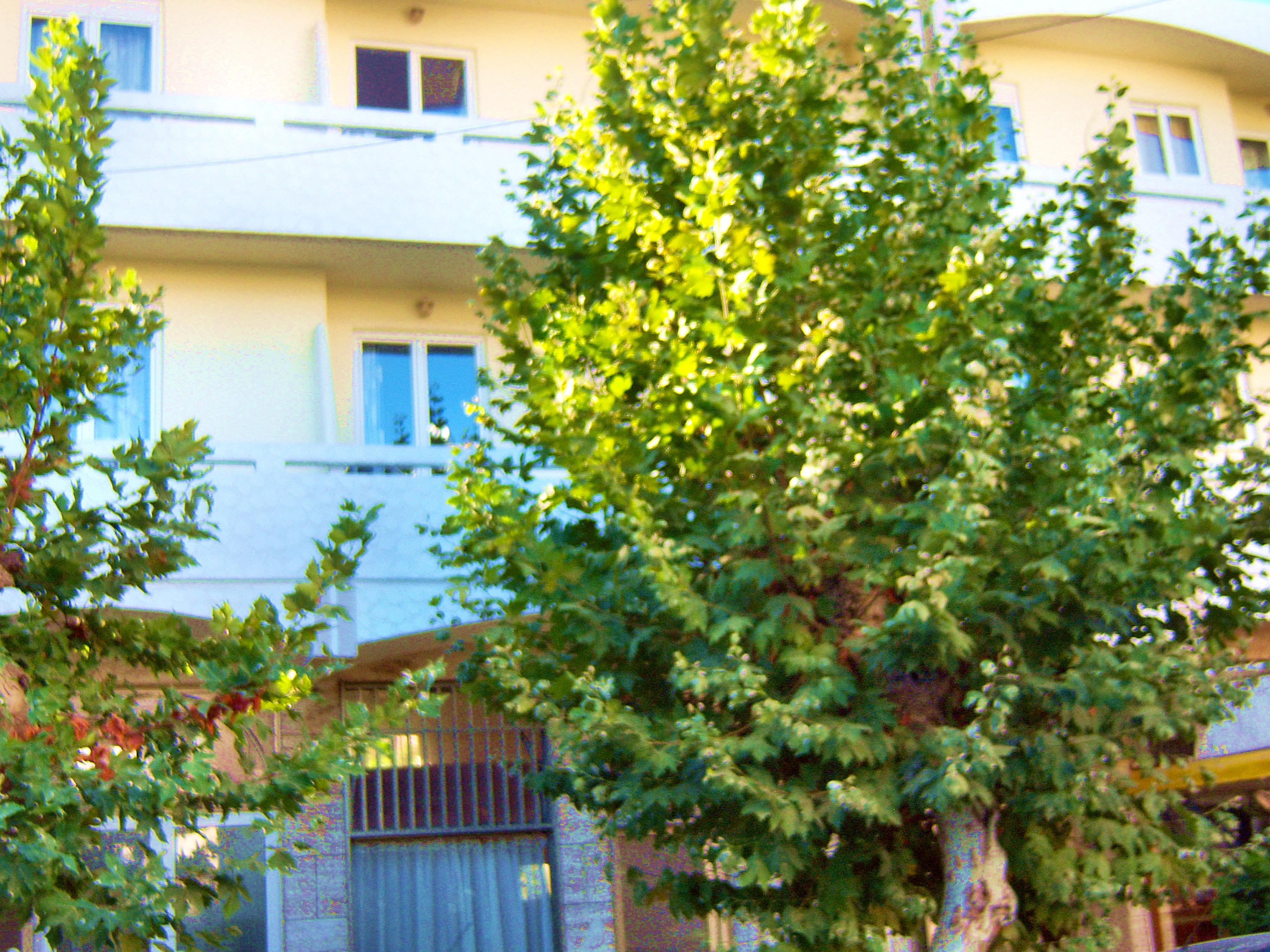 Fantasia Hotel Apartments Kos Exterior foto